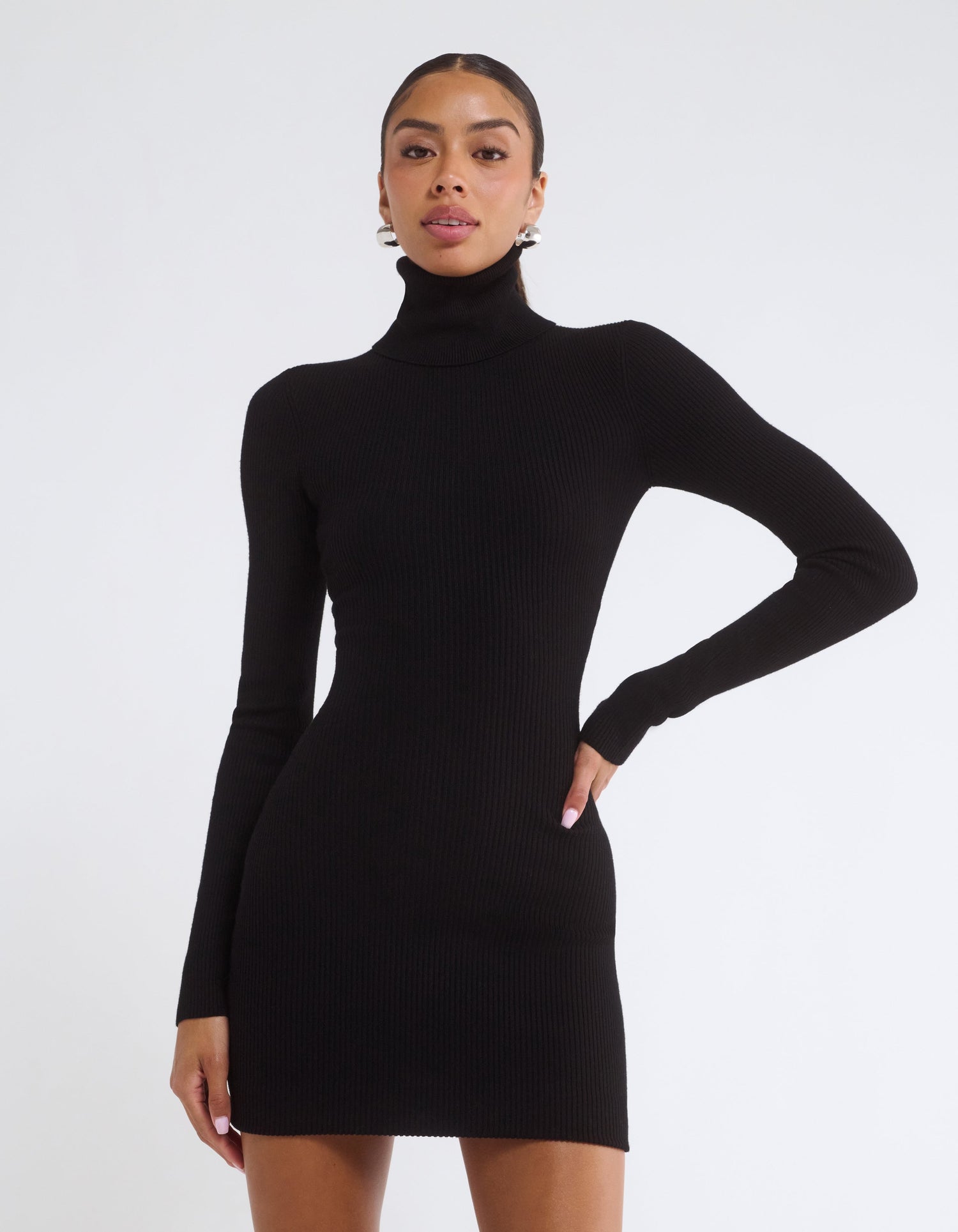 Turtle Neck Mini Dress