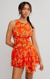 Raven Printed Mini Dress