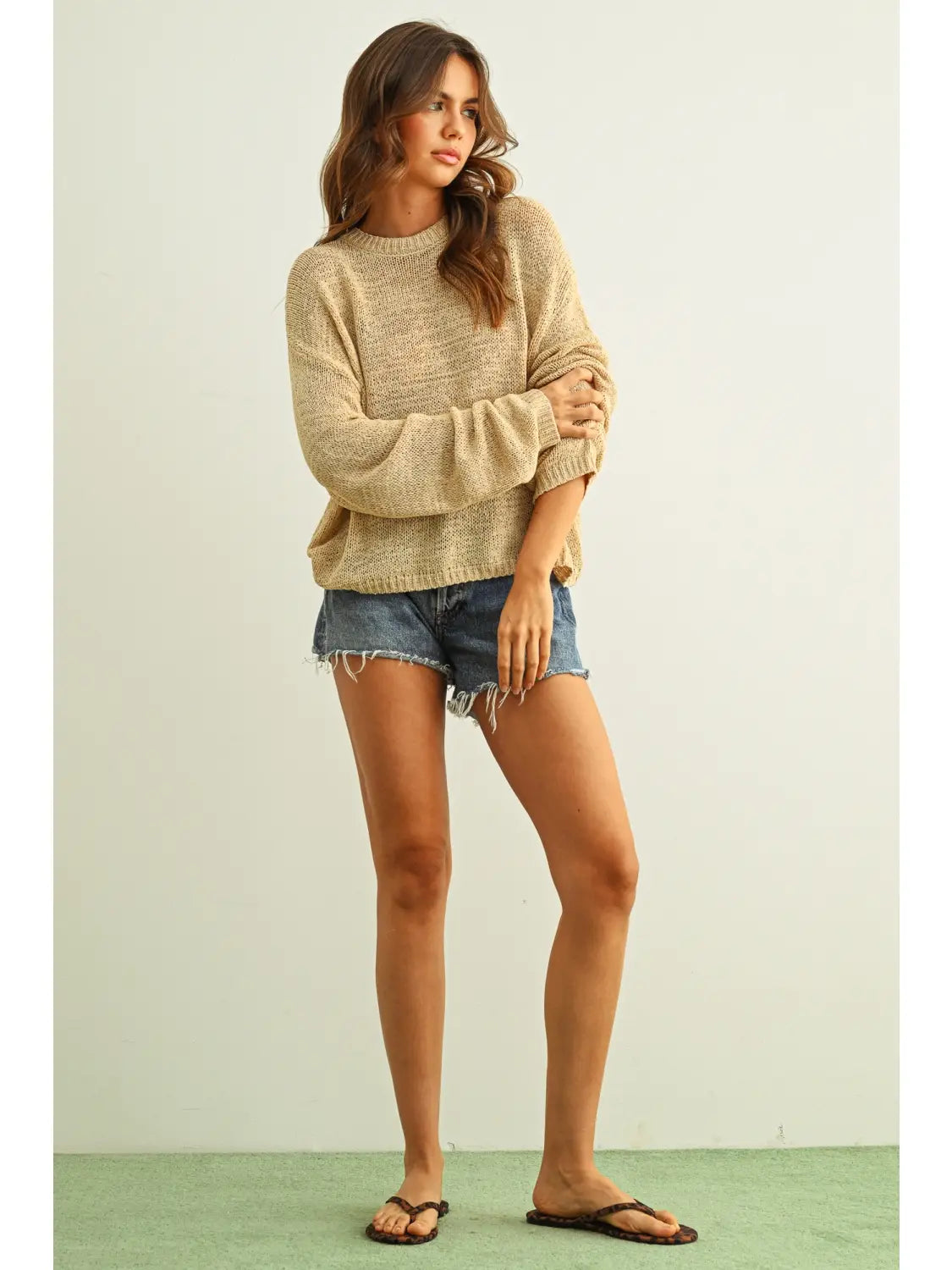 Beige Basic Knit Top